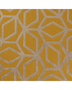 323COR5/301