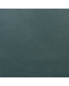 Aston, 207 Evergreen