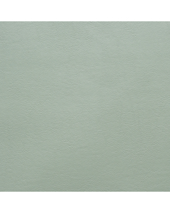 Aston, 271 Celadon