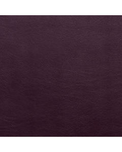 Aston, 481 Damson