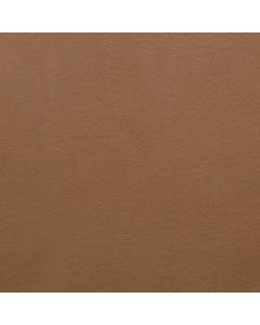 Aston, 806 Camel