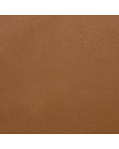 Aston, 824 Ochre