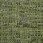 Amante (wide width), 238 Citrus